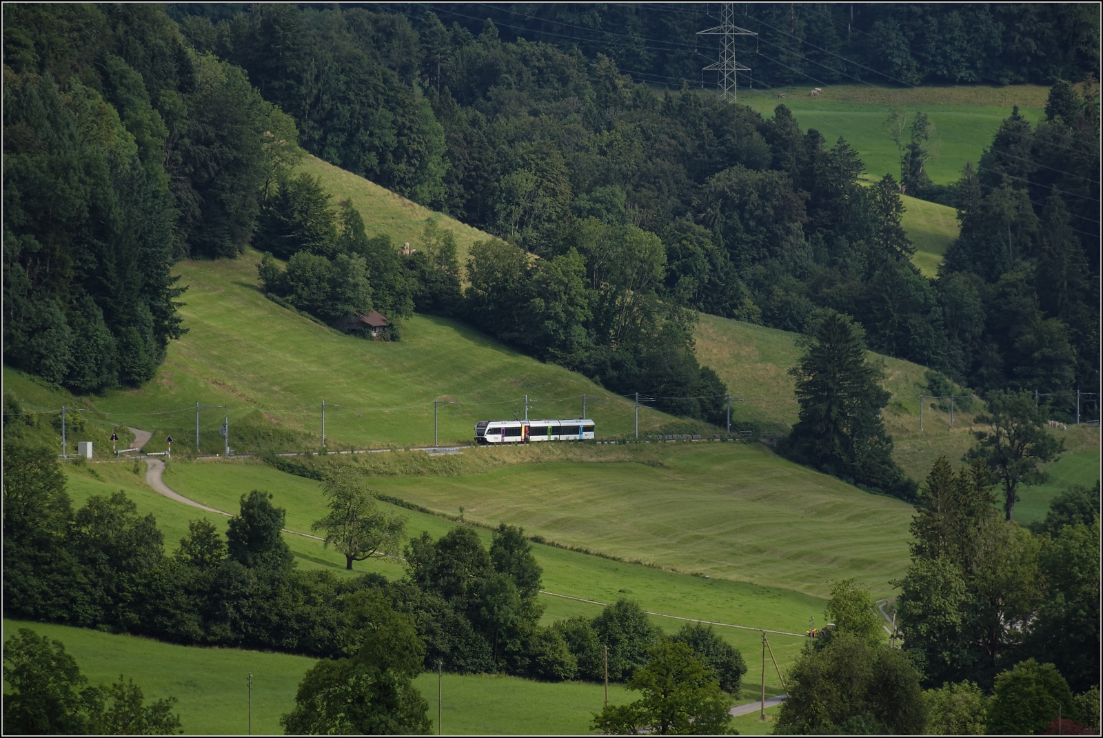 Verkehr am kleinen Gotthard. Zwar fahren nur Turbo GTW RABe 526 auf der Rampe zwischen Wald und Gibswil, aber es ist landschaftlich reizvoll. Immerhin 300 und fast 350 Höhenmeter müssen auf knapp 50 km Fahrt überwunden werden. Juli 2023.