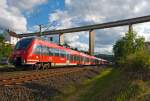   Hamsterbacken im Doppelpack -  442 262 / 762 und 442 760 / 260 (zwei gekoppelten 4-teilige Bombardier Talent 2) fahren am 05.06.2014 als RE 9 (rsx - Rhein-Sieg-Express) Aachen - Köln - Siegen,
