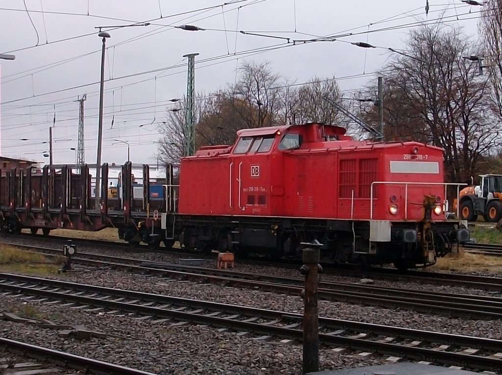 298 318 am 06.November 2010 am Morgen in Bergen/R�gen.