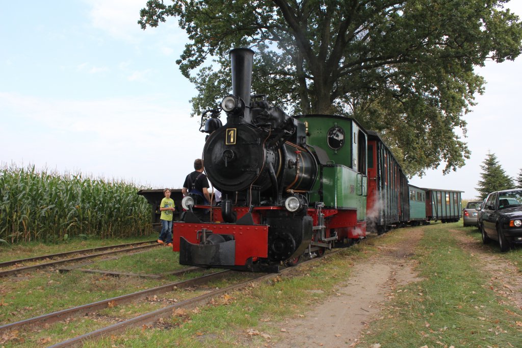 Das Herz des Vereins Die Henschel Und Sohn Dampflok.
Sie Tr�gt die Nummer 1. Sie Geh�rte Fr�her dem T�v Nord.
Am 03.10.2011 Stand sie  mit Ihren Zug Oben Im Museum L�tjenkamp Und Wartet Auf Fahrg�ste.