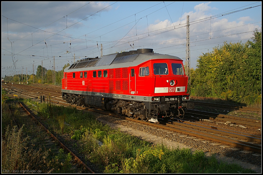 DB Schenker 233 636-0 setzt sich vor einen Gterzug (NVR-Nummer 92 80 1233 636-0 D-DB, ex DR 132 636-2, ex DR/DB 232 636-1, Remotorisierung mit Kolomna Dieselmotor vom Typ 12D49M, gesehen Wustermark-Priort 01.10.2010)