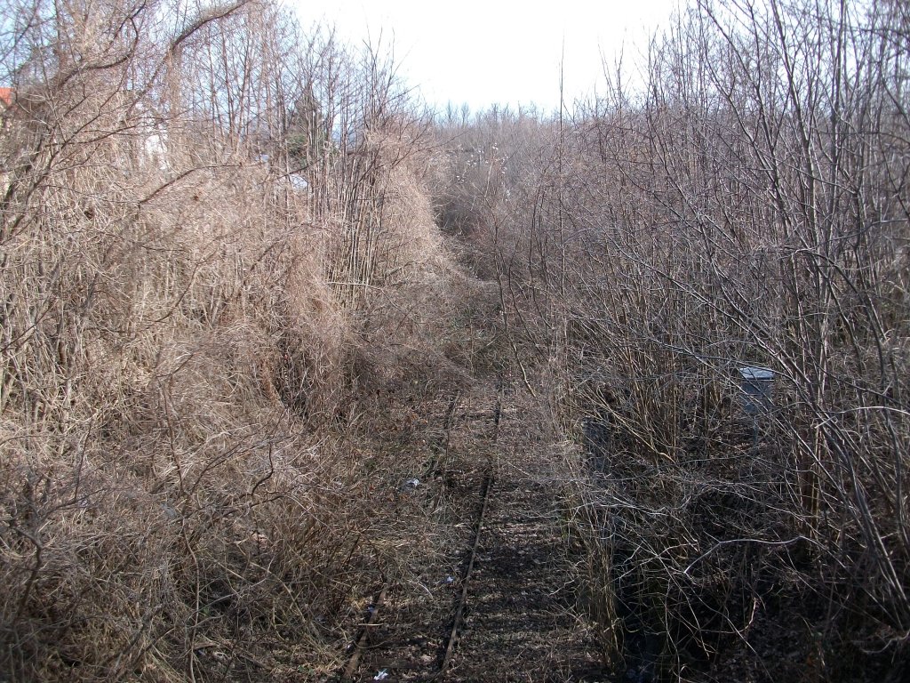 Die ehmalige Steilstrecke zwischen Sassnitz Hafen und dem oberen Bahnhof am 31.Mrz 2010.