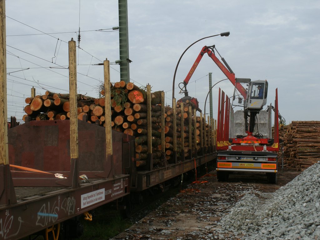 Holzverladung am Morgen,vom 11.Mai 2012,auf der Ladestra�e in Bergen/R�gen.