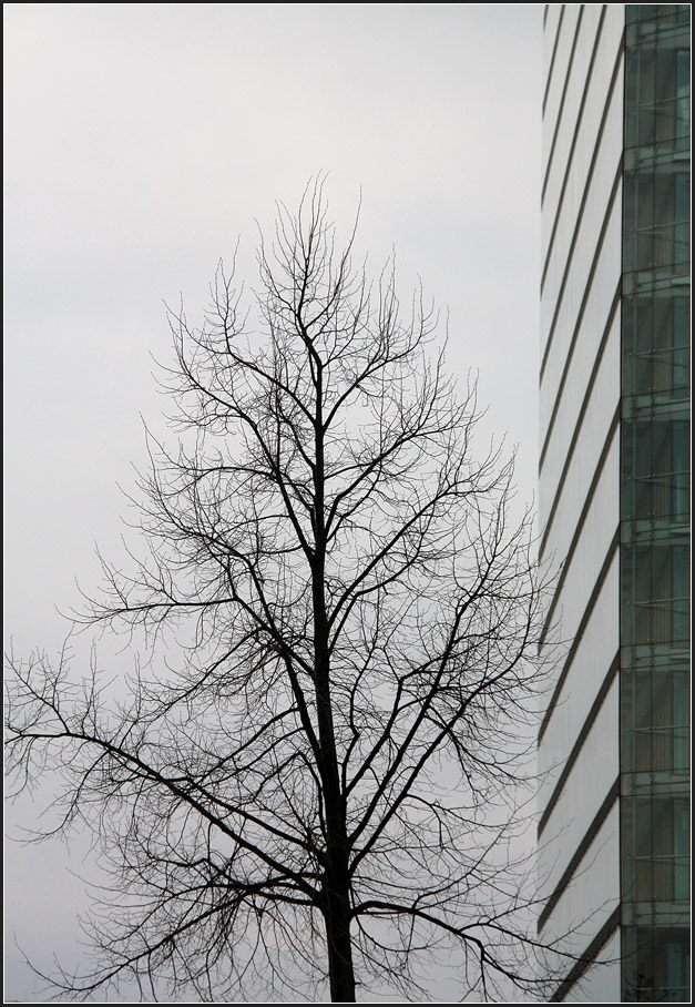 . Bürohochhaus 'Stadttor' in Düsseldorf -

Ein kleine Impression mit Baum.

März 2010 (Matthias)