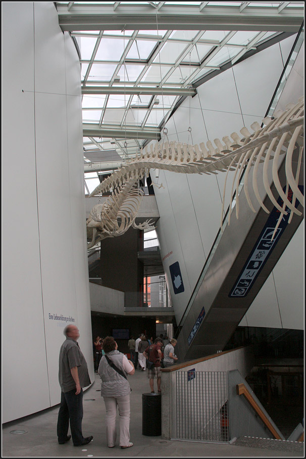 . Das Ozeaneum in Stralsund -

Im ersten OG in der Halle.

August 2011 (Matthias)