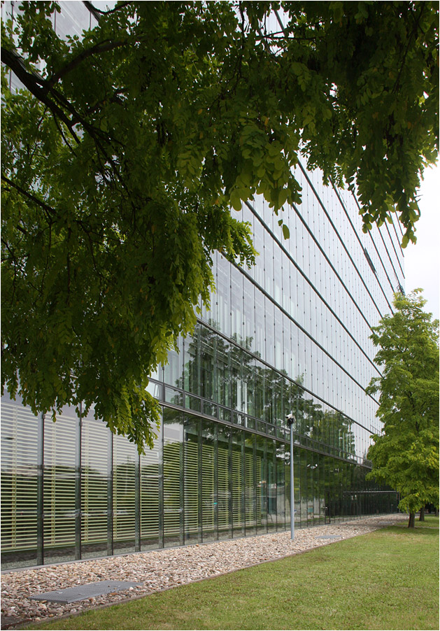. Prisma-Haus in Frankfurt-Niederrad -

September 2014 (Matthias)