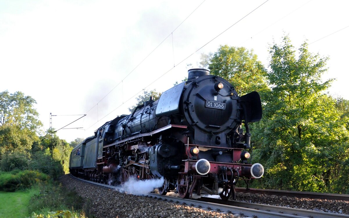 01 1066 in Ulm am 11.09.2010.