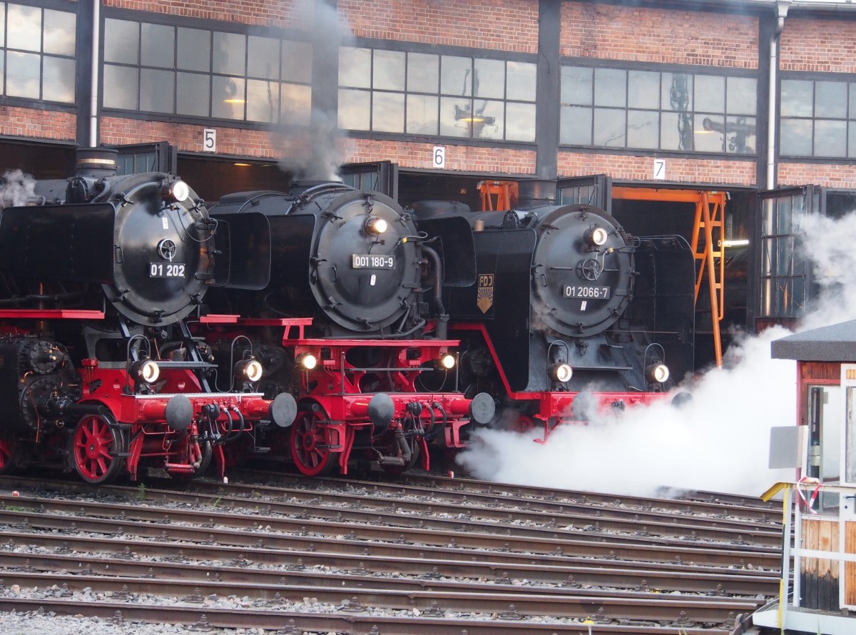 01 202 und 001 180-9 stehen im Dampflokschuppen des Bw Dresden, w�hrend 01 2066-7 langsam auf die Drehscheibe hinaurollt, beim 7. Dresdner Dampfloktreffen am 17.04.2015.