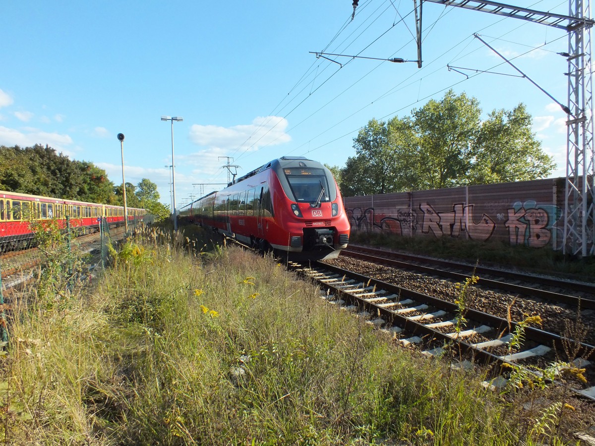 442 127 und 442 328 erreichen am 2.10.13 Berlin-Karlshorst, wo mittlerweile eine regelrechte Nagetierplage ausgebrochen ist.
RB 14 -> Nauen