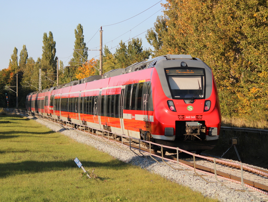 442 349 als S1(Rostock-Warnemünde)bei der Ausfahrt in Rostock-Lichtenhagen.03.10.2025