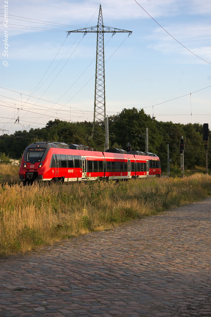 442 631-8 als RB21 (RB 18678) von Potsdam Griebnitzsee nach Wustermark in Satzkorn. 23.08.2013