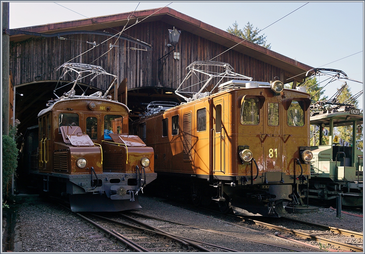 50 Jahre Blonay Chamby - MEGA BERNINA FESTIVAL: Beim Bernina Festival gab es nach vielen Jahrzeinten nicht nur eine  Wiedersehen  der Bernina Bahn (BB) Ge 4/4 81 (ex Ge 6/6 81 bzw. ab Ge 4/4 81) mit dem Bernina Krokodil, sondern auch mit dem Ge 2/2 161  Asnin  (Eselchen) auch wenn dies Lichttechnisch nicht ganz so ideal war.
8. Sept. 2018