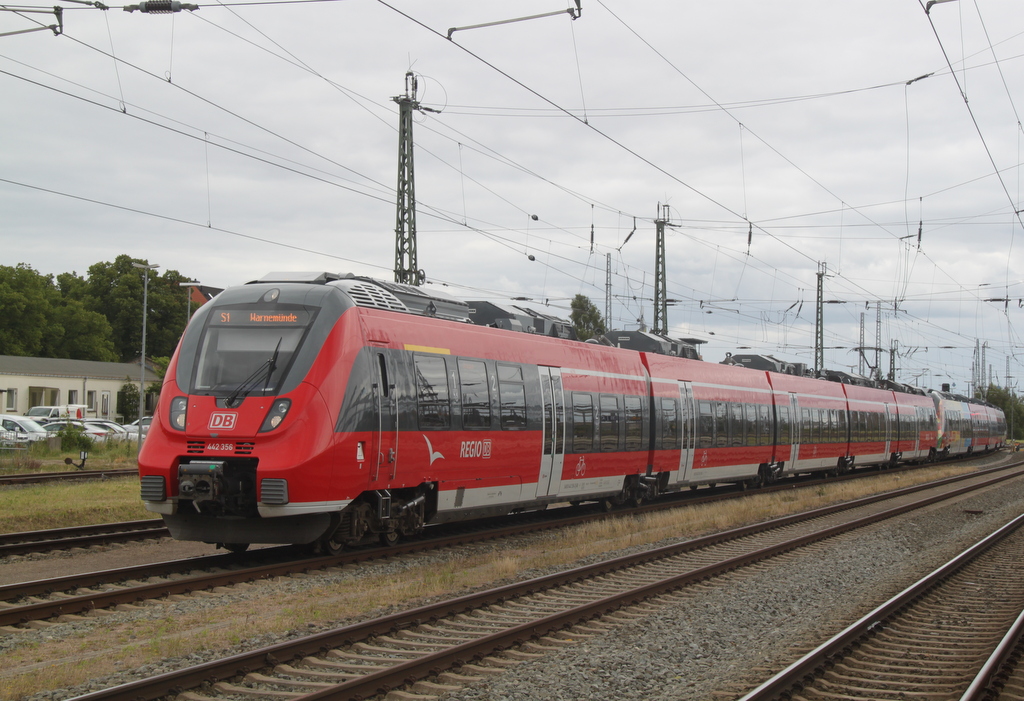 am 31.07.2015 fuhr zu Freude des Fotografen die S1 von Rostock Hbf nach Warnemnde mit 442 356-2+442 354-7 ab Rostock Hbf 