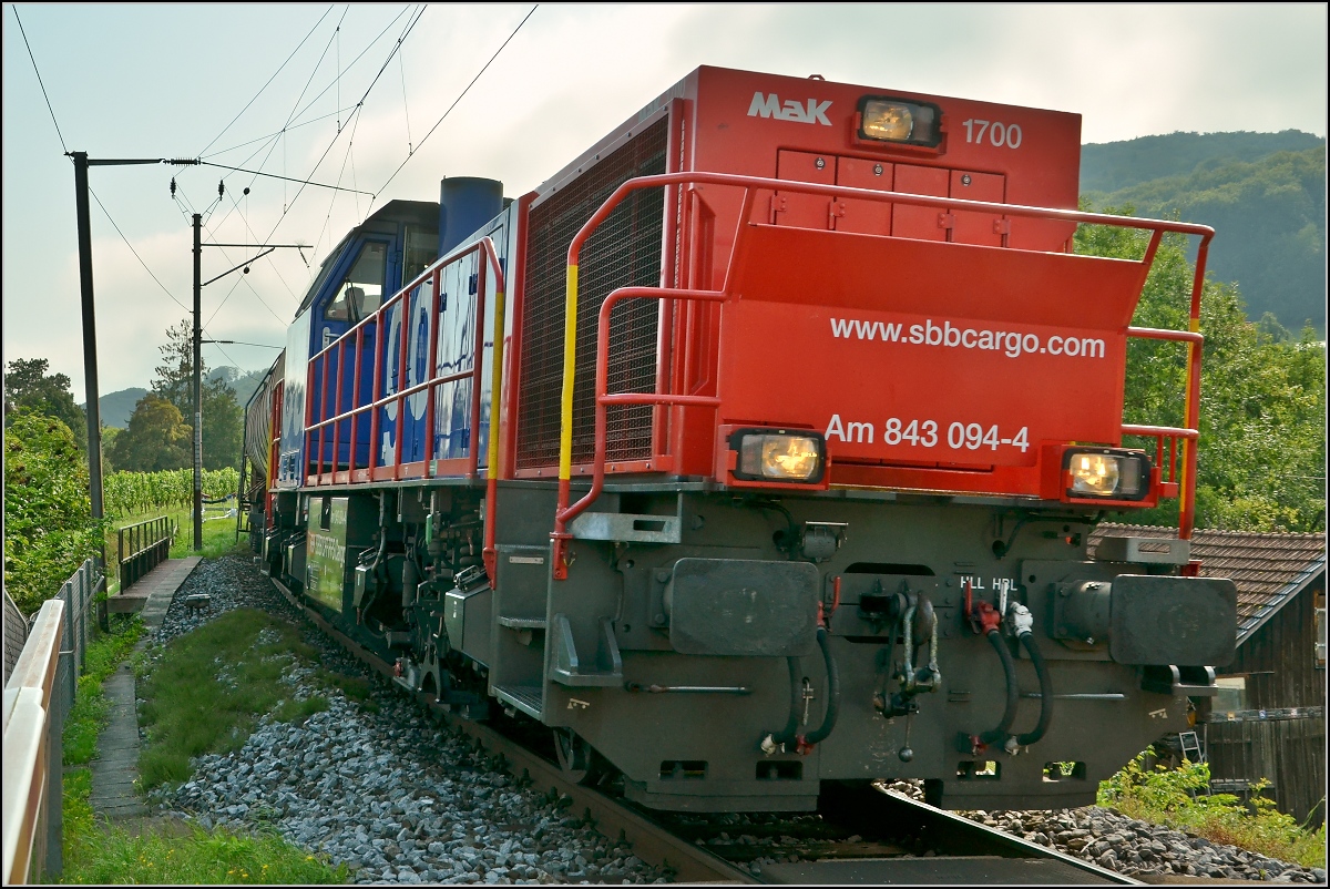 Am 843 094-4 mit dem Nahgüterzug auf der Seelinie bei Mammern. September 2011.