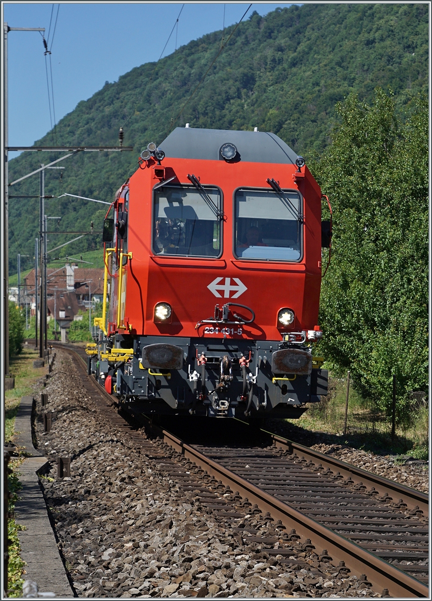 Auf dem letzten verblieben (kurzen) Einspurabschnitt zwischen Ligerz und Twann kurz vor ehemaligen Bahnhof von Ligerz ist der SBB Tm 234 431-5 auf dem Weg in Richtung Biel/Bienne 

11. Juli 2025