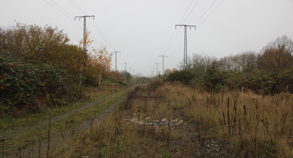 Blick auf die ehemalige Bahnstrecke zum Friedrich-Franz-Bahnhof in der Rostocker Innenstadt. 10.11.2024 von der Güterumgehung aus gesehen.