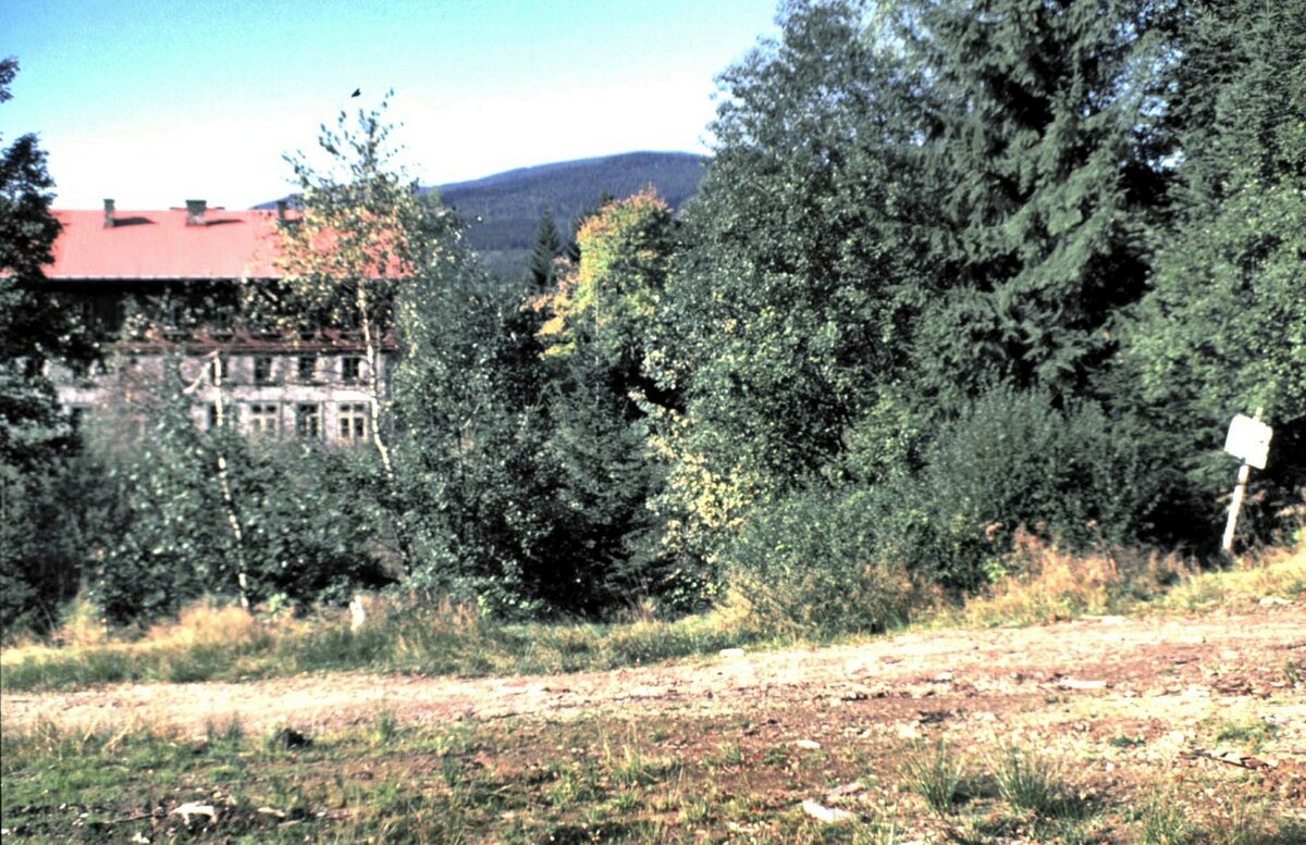 Das Gebiet um den Bahnhof Bayerisch Eisenstein mit Grenzmarkierungen. Die B�ume bzw. B�sche wachsen aus den vorhandenen Gleisen; es wirkte wie ein Bahnhof im Dornr�schenschlaf. Im Oktober 1989.