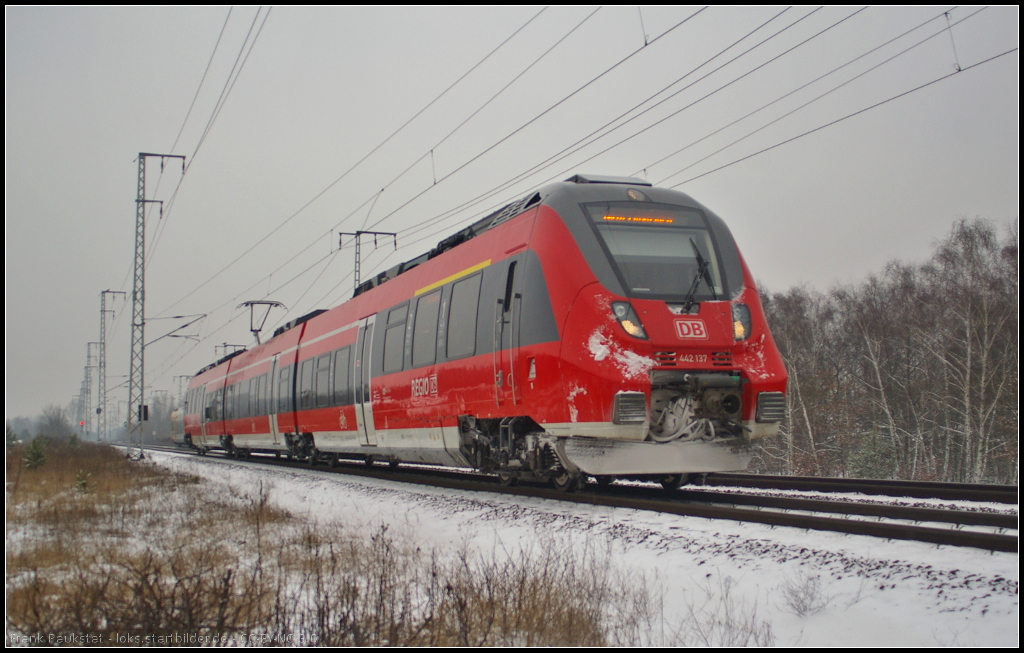 DB Regio 442 137 als Verst�rker f�r die RB14 Nauen am 28.01.2014 in der Berliner Wuhlheide unterwegs nach Sch�nefeld Flughafen