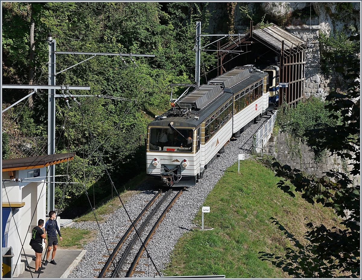 Der Rochers de Naye Beh 4/8 305 und ein weiterer Beh auf dem Weg nach Montreux erreichen die Haltestelle Toveyre. 
13. Aug. 2017