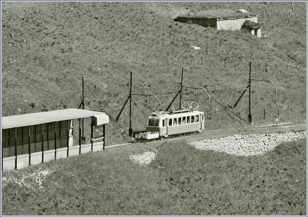 Der Rochers de Naye Bhe 2/4 204 mit den Ehrengästen auf dem Weg zu Gipfel kurz nach Jaman.
1. Juli 2018