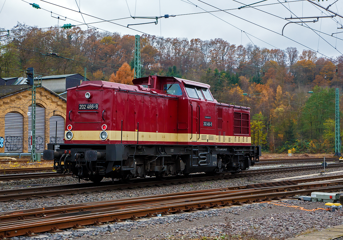 Die 202 466-9 (92 80 1202 466-9 D-SKLUS) der SKL Umschlagservice Magdeburg GmbH & Co. KG, ex DB 202 466-9, ex DR 112 466-8, ex DR 110 466-0, fährt am 20.11.2021 als Lz durch Betzdorf/Sieg in Richtung Köln.

Die V 100.1 wurde 1972 bei LEW (VEB Lokomotivbau Elektrotechnische Werke „Hans Beimler“, Hennigsdorf) unter der Fabriknummer 11305 gebaut und als 110 466-0 an die DR (Deutsche Reichsbahn) ausgeliefert. Im Jahr 1979 erhielt sie einen 1.200 PS Motor und 1981 erfolgte der Umbau in DR 112 466-8, zum 01.01.1992 die Umzeichnung in DR 202 466-9, als diese ging sie dann zum 01.01.1994 zur DB AG bist zur Ausmusterung im Dezember 2000. Im Jahr ging sie an die SFZ - Schienenfahrzeugzentrum Stendal (heute ALS - ALSTOM Lokomotiven Service GmbH), wo die 100 km/h schnelle Lok eine Remotorisierung mit einem Caterpillar V-12-Zylinder-Viertakt-Dieselmotor mit Turboaufladung und Ladeluftkühlung vom Typ CAT 3512 DI-TA (170 mm Bohrung / 190 mm Hub) mit einer Leistung von 1.082 kW / 1.472 PS bekam.

Weiterer Lebenslauf:
•	Oktober 2001 an boxXpress.de GmbH als 206 466-5
•	2005 an EMN - Eisenbahnbetriebe Mittlerer Neckar GmbH (Kornwestheim) als V 203 01, 2007 Vergabe der NVR-Nummer  92 80 1202 466-9 D-EMN
•	2009 an Uwe Adam EVU GmbH (Eisenach)  20  -  Gauner 
•	Im April 2017 ging sie dann an die SKL Umschlagservice Magdeburg GmbH & Co. KG. Die Gesellschaft hat ihren Hauptsitz auf dem Gelände des ehemaligen Schwermaschinenbaukombinates  Karl Liebknecht  (SKL) in Magdeburg-Buckau und betreibt dort auch die Eisenbahninfrastruktur.
