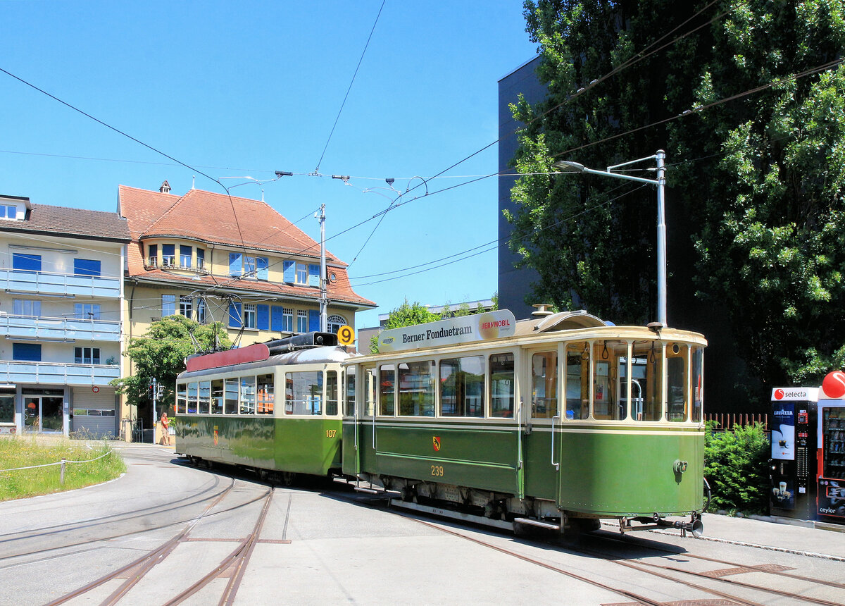 Die alten Berner Zweiachs-Anhänger, Standard-Anhänger Serie 238-257 von 1914: Als einziger hat Wagen 239 überlebt, hier vor dem Trammuseum Weissenbühl, 23.Juni 2019  Eigentlich eine klassische Aufnahme aus den 50er Jahren, wo die Standardmotorwagen der Linie 3 zu Stosszeiten genau hier solche Anhänger holten. 