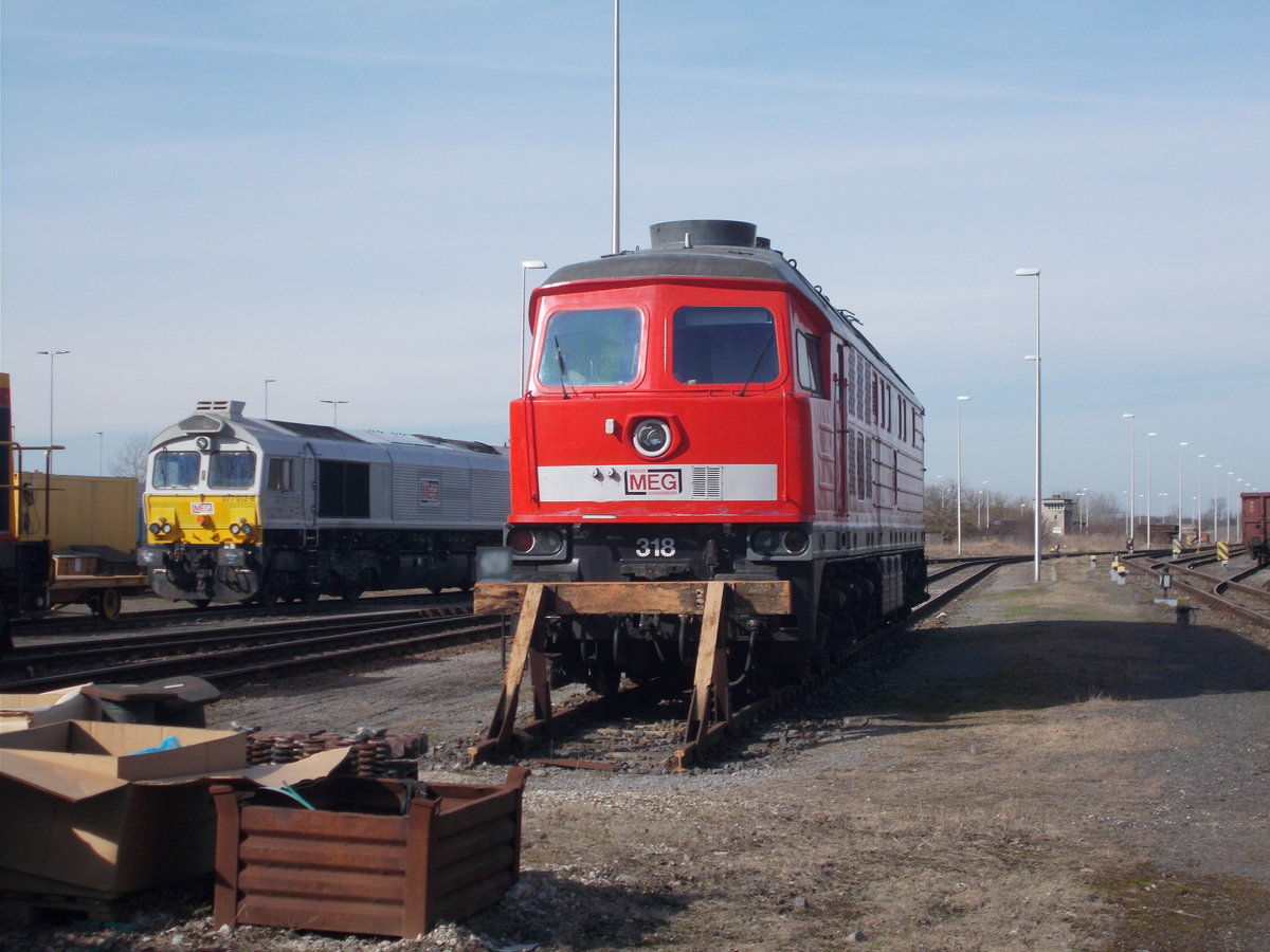 Die beiden MEG 318 und die 077 018-2,am 04.M�rz 2017,im Werkbahnhof R�dersdorf.
