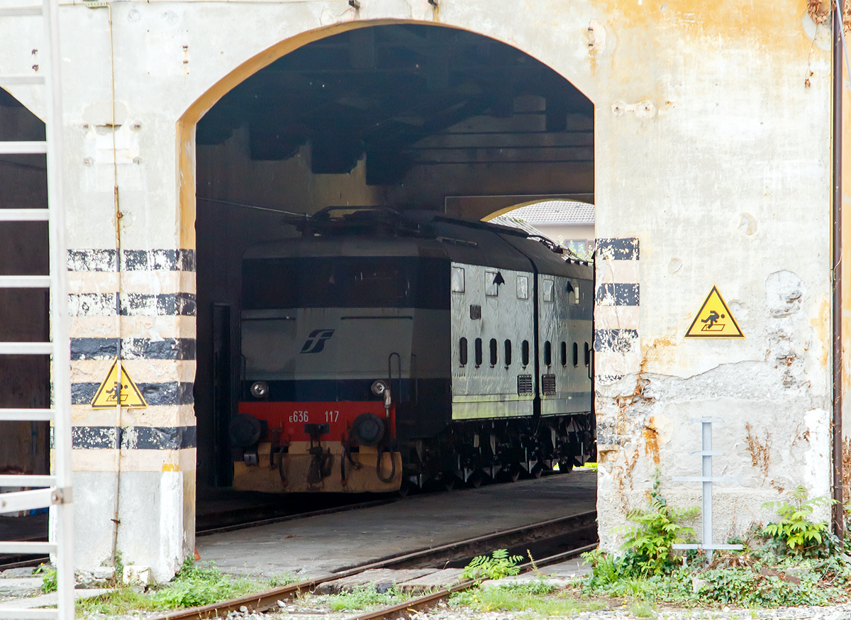 
Die FS E.636 117 (Camilla) steht an 02.11.2019 in dem Lokschuppen in Sondrio (dt. Sünders). Es war nicht einfach sie vom Bahnsteig einzufangen, aber da sie bereits historisches Fahrzeug ist habe ich es versucht.

Die Baureihe E.636 Spitznamen Camilla ist eine sechsachsige italienische Elektrolokomotive in zweiteiliger Gelenkbauweise. Von diesen wurden von 1940 bis 1962 in drei Bauserien 469 Stück gebaut:
Die erste Serie E.636 001 bis 108 wurde von 1940 bis 1942 gebaut;
die zweite Serie E.636 109 bis 243 wurde von 1952 bis 1956 gebaut und
die dritte Serie E.636 244 bis 469 wurde von 1957 bis 1962 gebaut.
Die Baureihe war für den Personen- und Güterzugdienst konzipiert. Die Bauart mit zweigeteiltem Lokkasten und Achsfolge Bo'Bo'Bo' bewährte sich so gut, dass diese Achsanordnung bei der italienischen Staatsbahn als Standard festgelegt wurde.

TECHNISCHE DATEN:
Spurweite: 	1.435 mm (Normalspur)
Achsformel: Bo'Bo' Bo'
Länge: 18.250 mm 
Höhe: 3.380 mm
Breite: 3.000 mm
Drehzapfenabstand:  5.200 mm
Achsabstand im Drehgestell: 3.150 mm
Dienstgewicht: 101 t
Höchstgeschwindigkeit: 95 bis 120 km/h (je nach Übersetzungsverhältnis)
Dauerleistung: 2.100 kW
Getriebe Übersetzung: 21/65 (445 Stück), 28/65 (14 Stück) oder 24/74 (5 Stück)
Anzahl der Motoren: 6
Anfahrzugkraft: 113 kN
Treibraddurchmesser: 	1.250 mm
Stromsysteme: 3.000 V DC 

