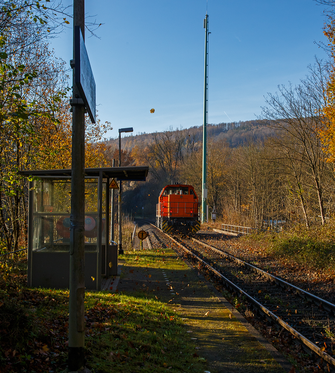 Die KSW 44 (92 80 1271 004-4 D-KSW), die MaK G 1000 BB der KSW (Kreisbahn Siegen-Wittgenstein), fährt am 11.11.2021 als Lz von Herdorf in Richtung Betzdorf (Sieg). Hier hat sie gerade 137 m langen Herdorfer Tunnel verlassen und rauscht durch den Hp Königsstollen.

Man sieht wie die Herbstblätter aufgewirbelt werde.
