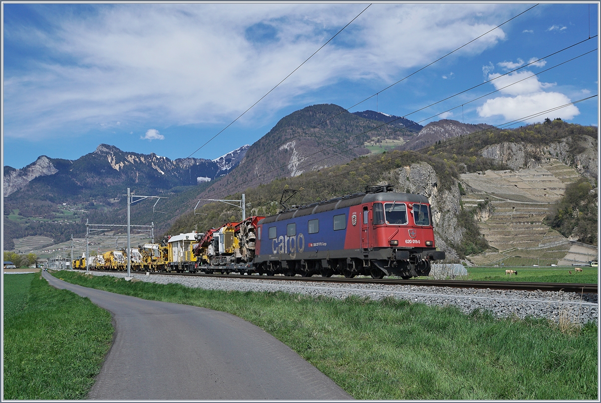 Die SBB Re 620 019-0 mit einem langen,  gelben  Zug zwischen Aigle und St-Triphon. Ganz recht im Bild und erst bei der Bildbearbeitung entdeckt, steckt eine TPC GTW Be 2/6 noch seine  Nase  ins Bild.
12. April 2018