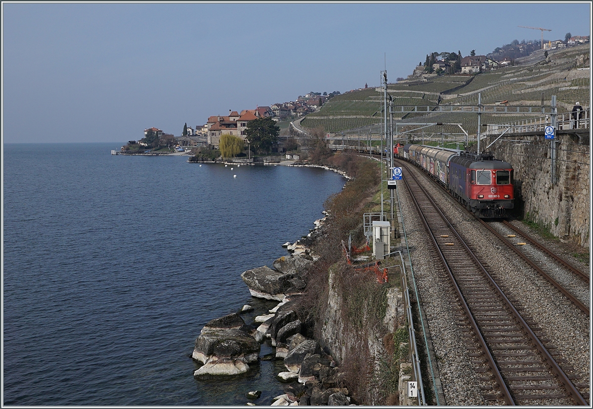 Die SBB Re 6/6 11607 (Re 620 007-5)  Wattwil  ist mit einem Güterzg in Richtung Villeneuve zwischen Rivaz und St-Saphorin unterwegs. 

9. März 2021