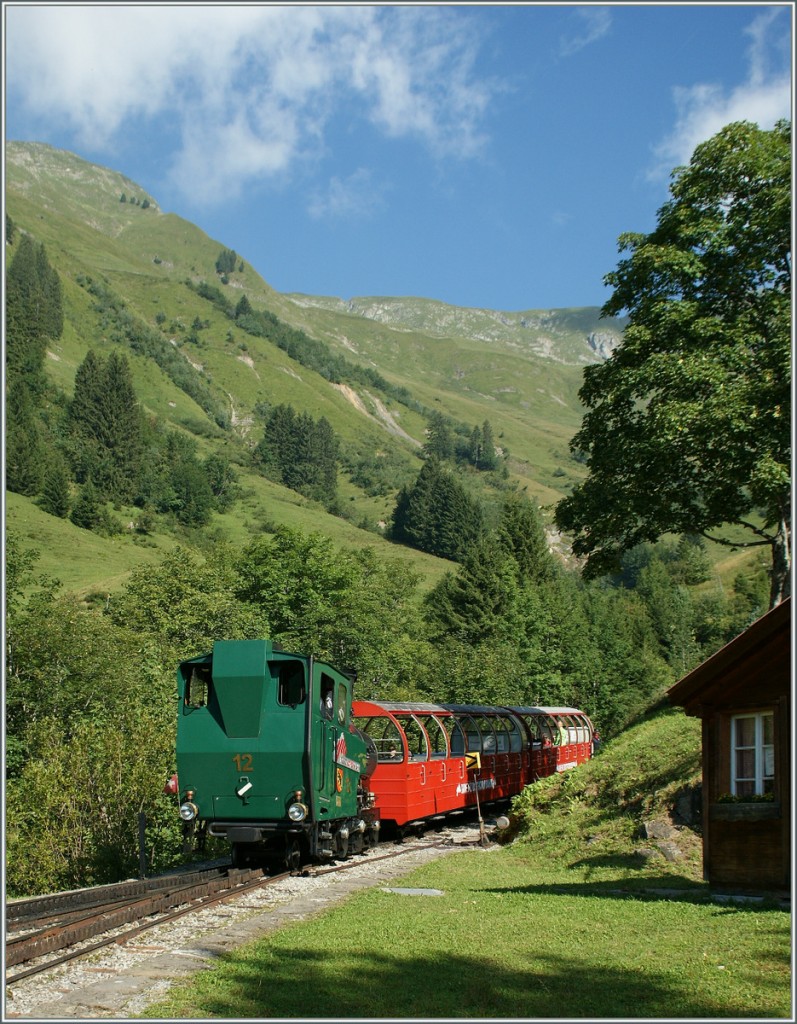 Die talwärts fahrende BRB H 2/3 N° 12 erreicht mit ihrem fast leeren Zug 4 Planalp.
30. August 2013