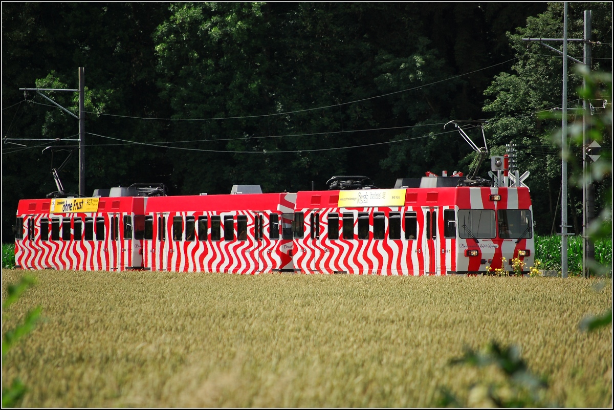 Ein dreiteiliger Triebwagen der Frauenfeld-Wil-Bahn zwischen den Feldern in Lüdem. Juni 2007.