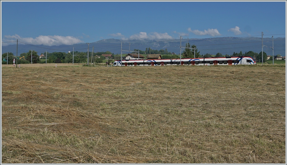 Ein Léman Express SL 5 auf der Fahrt nach La Plaine bei der Durchfahrt in Bourdigny. Kaum zu glauben beim Anblick von soviel Landschaft, dass Genève nur zehn Kilometer von hier entfernt ist. (Aber nicht weit vom rechten Bildrand entfernt beginnt bereits die dichte Bebauung mit Industie und Gewerbe...) 

21. Juli 2021