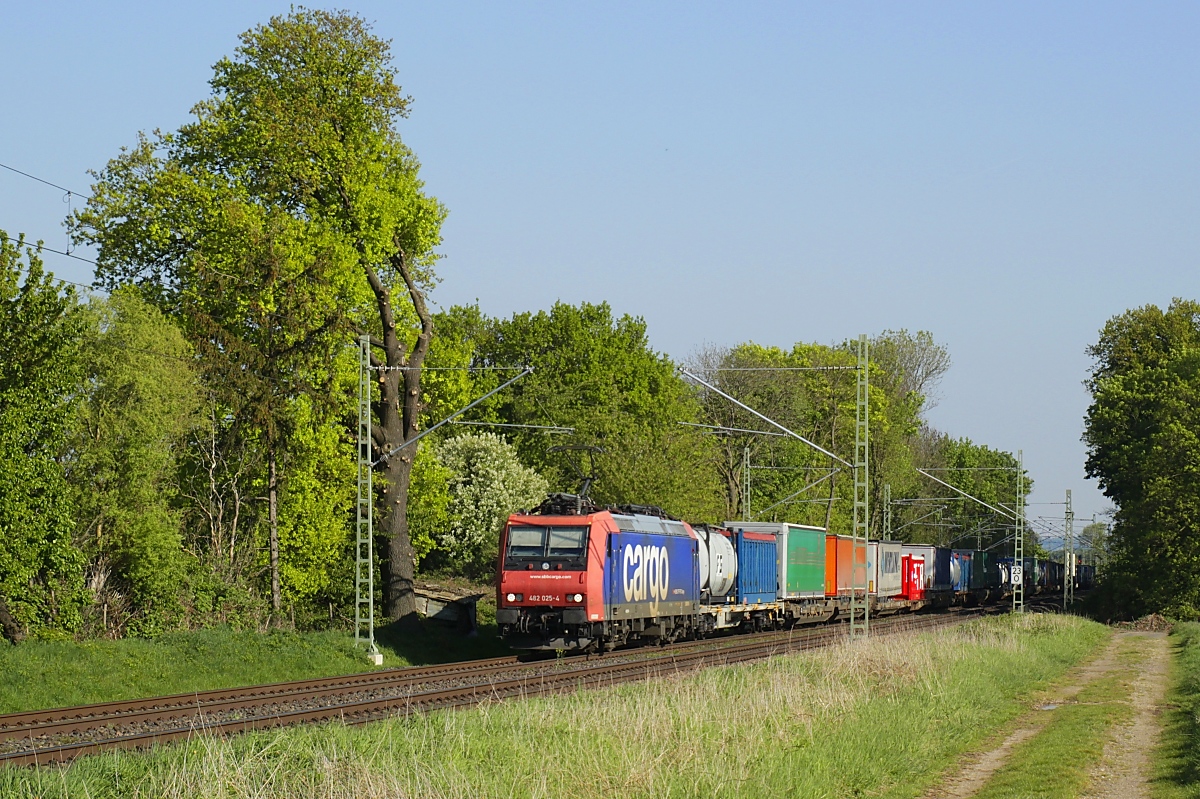 Gen Norden strebt die SBB-482 025-4 am 28.04.2022 bei Bornheim in der Nähe von Bonn