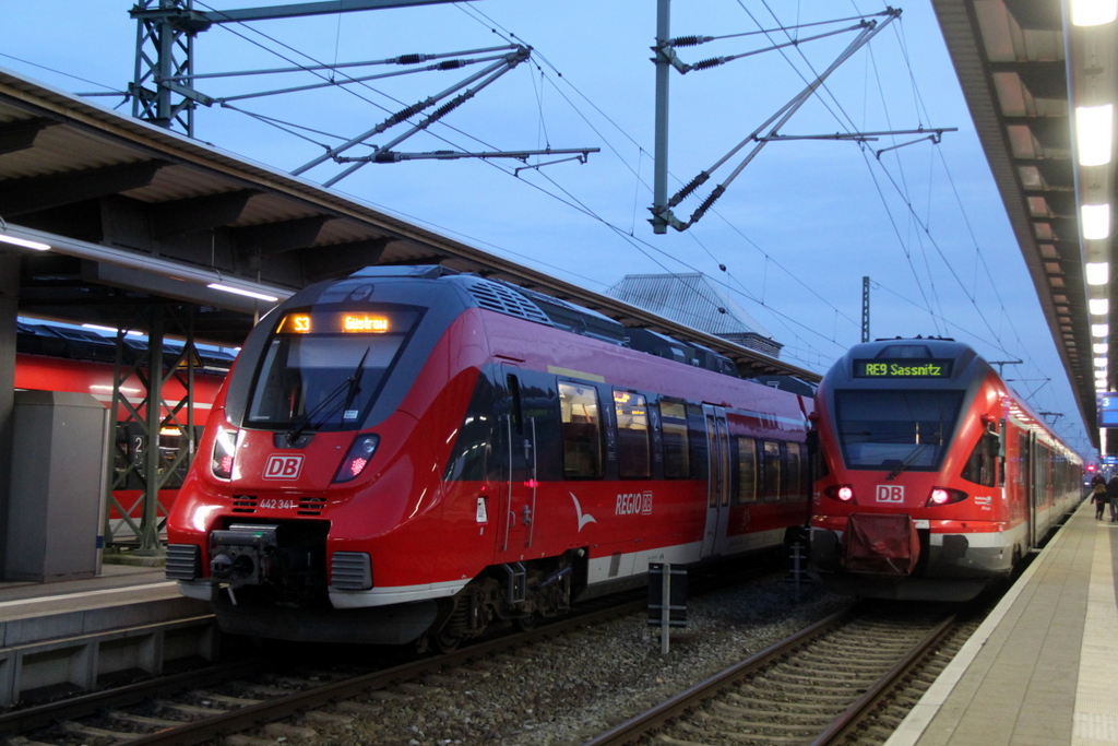 Hamster vs Flirt im Rostocker Hbf am 30.10.2014