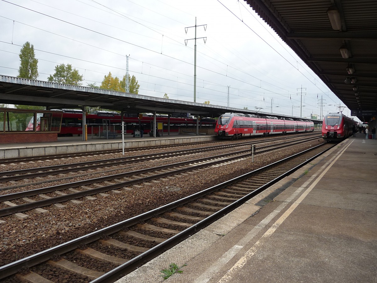 Hamstertreffen in Sch�nefeld Flugahfen. Einmal pro Stunde sind alle drei nutzbaren Bahnsteiggleise begelgt.