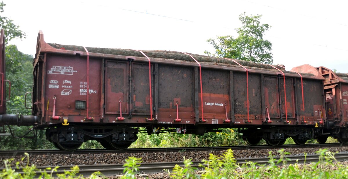 Hochbordwagen Ealos-t 058 mit Rohholz beladen in Ulm am 01.09.2010.