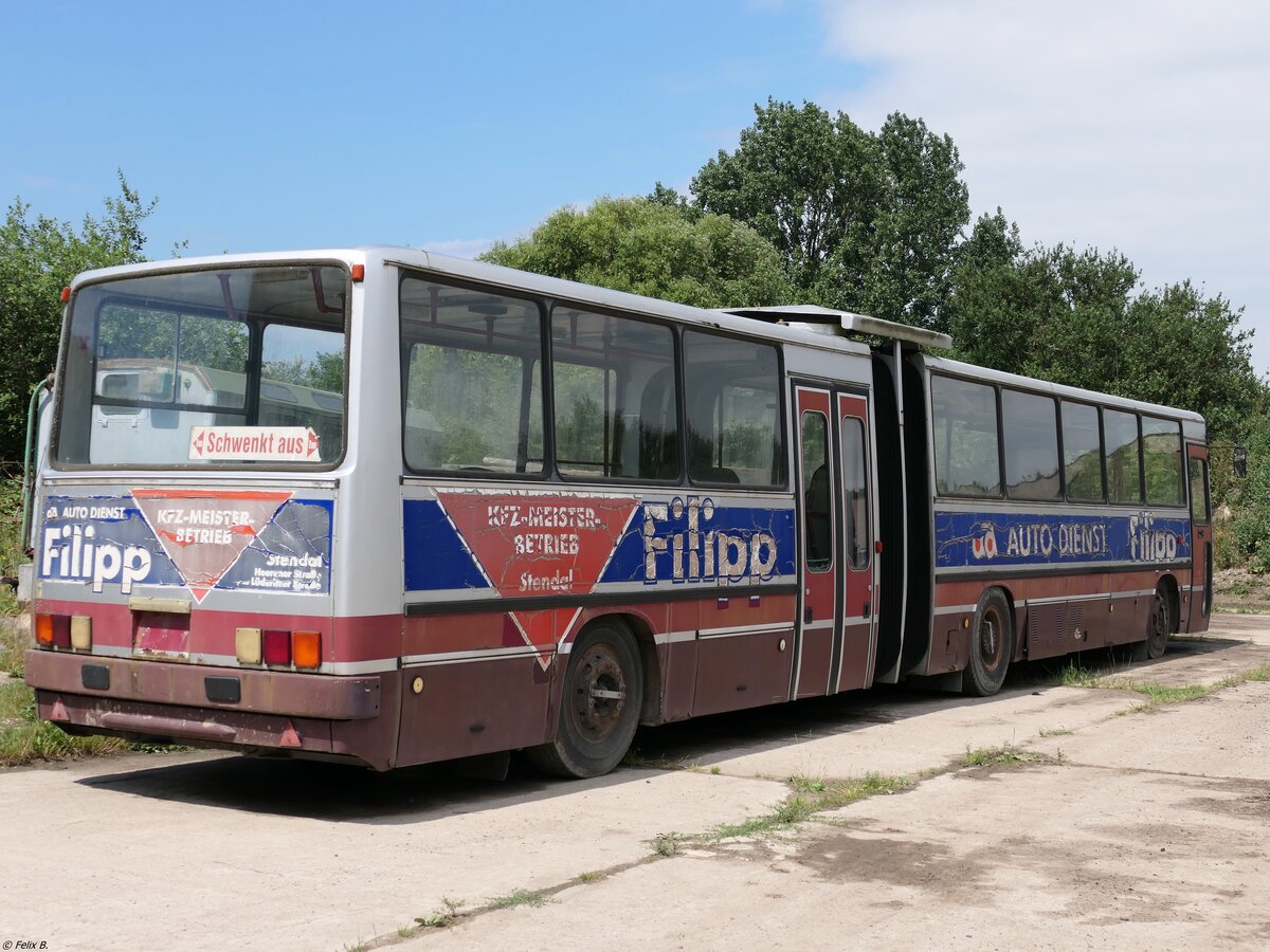Ikarus 280 vom Technikmuseum Pütnitz (ex Altmark) in Pütnitz.