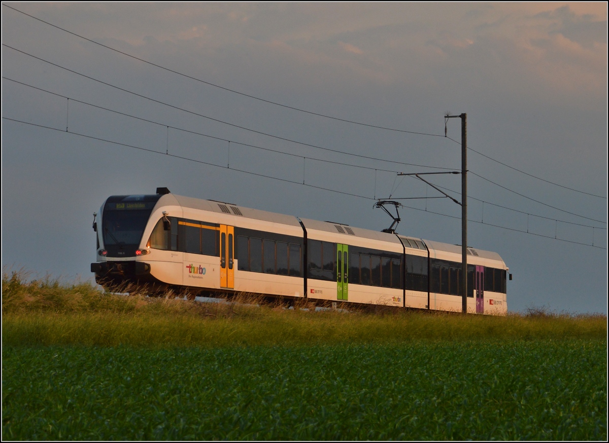 Ins rechte Licht gesetzt macht auch ein GTW was her. 

Thurbo GTW 2/8 bei Siegershausen. Juni 2014.