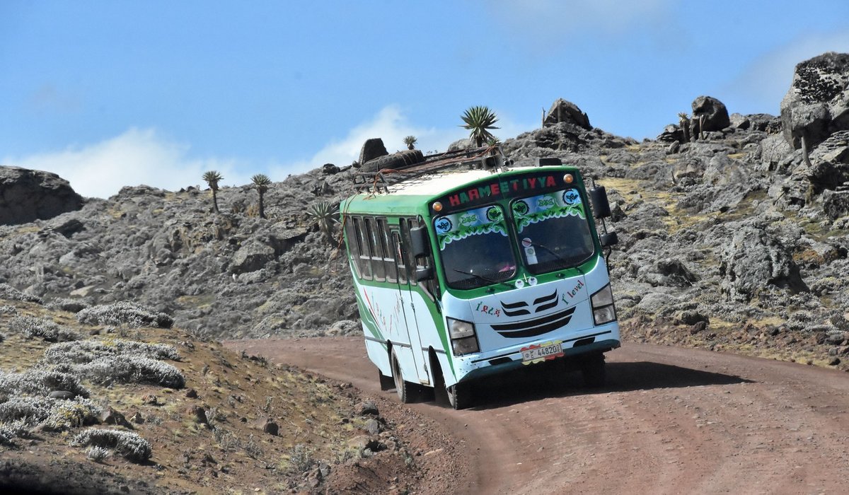 ISUZU Midibus in �thiopien auf ca 3.900 Meter Seeh�he im Senettie Plateau 03/2019 gesehen.