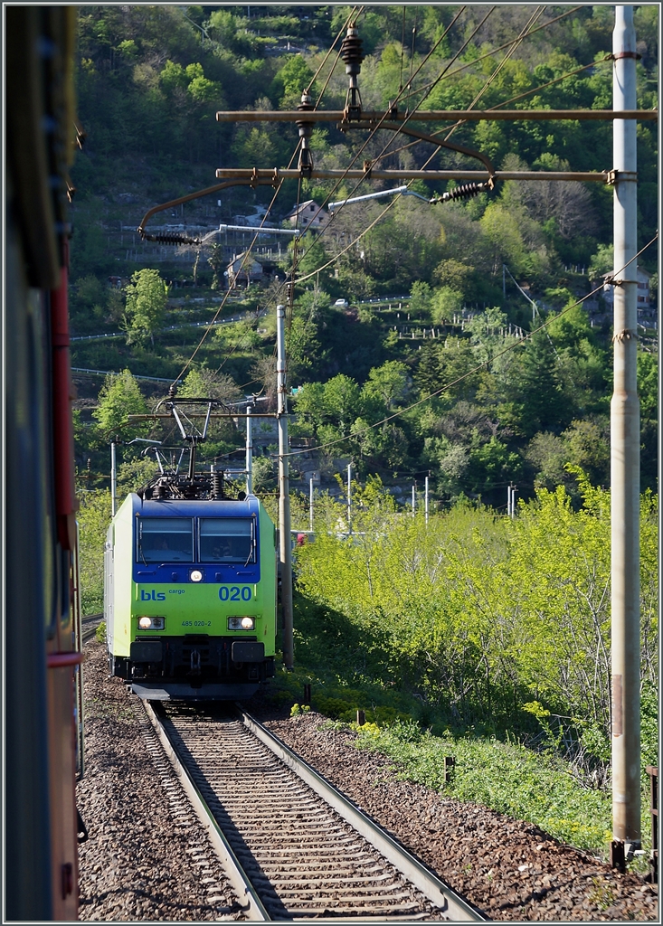 Kurz nach der Abfahrt von Domodossola begegnet unserm IR nach Brig diese von zwei BLS Re 482 gef�hrte RoLa von Freiburg (i.B.) nach Novara.
15. April 2014