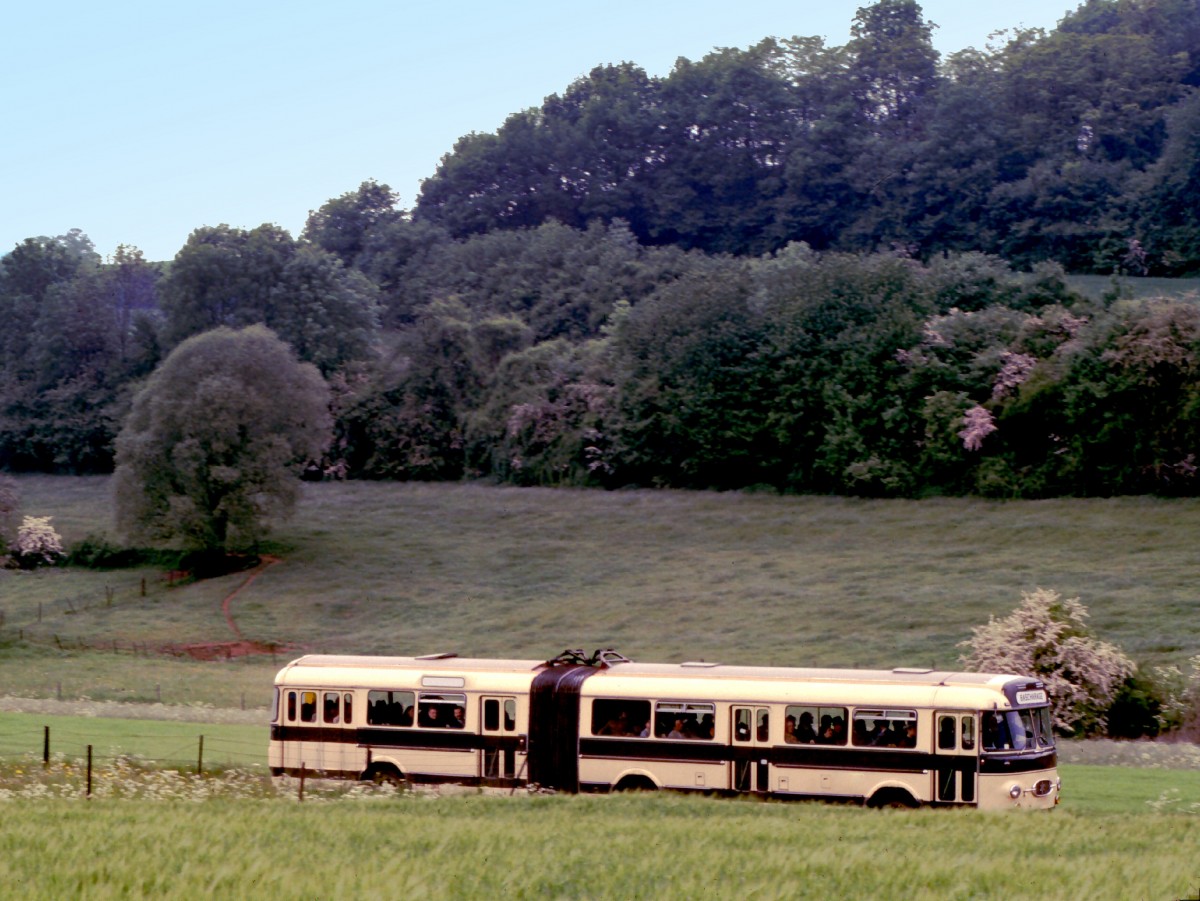 Luxemburg, Lamadelaine, Henschel HS 160 USL-G Gelenkbus. Dieser Bus bringt auf schmalen Wegen die Fahrg�ste der Museumsbahn Fond-de-Gras zum ehemaligen Terminus  Fuussb�sch . Scan eines Dias aus dem Jahr 1976. 