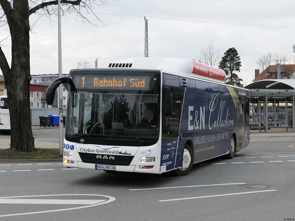 MAN Lion's City CNG der Stadtwerke Greifswald in Greifswald. 