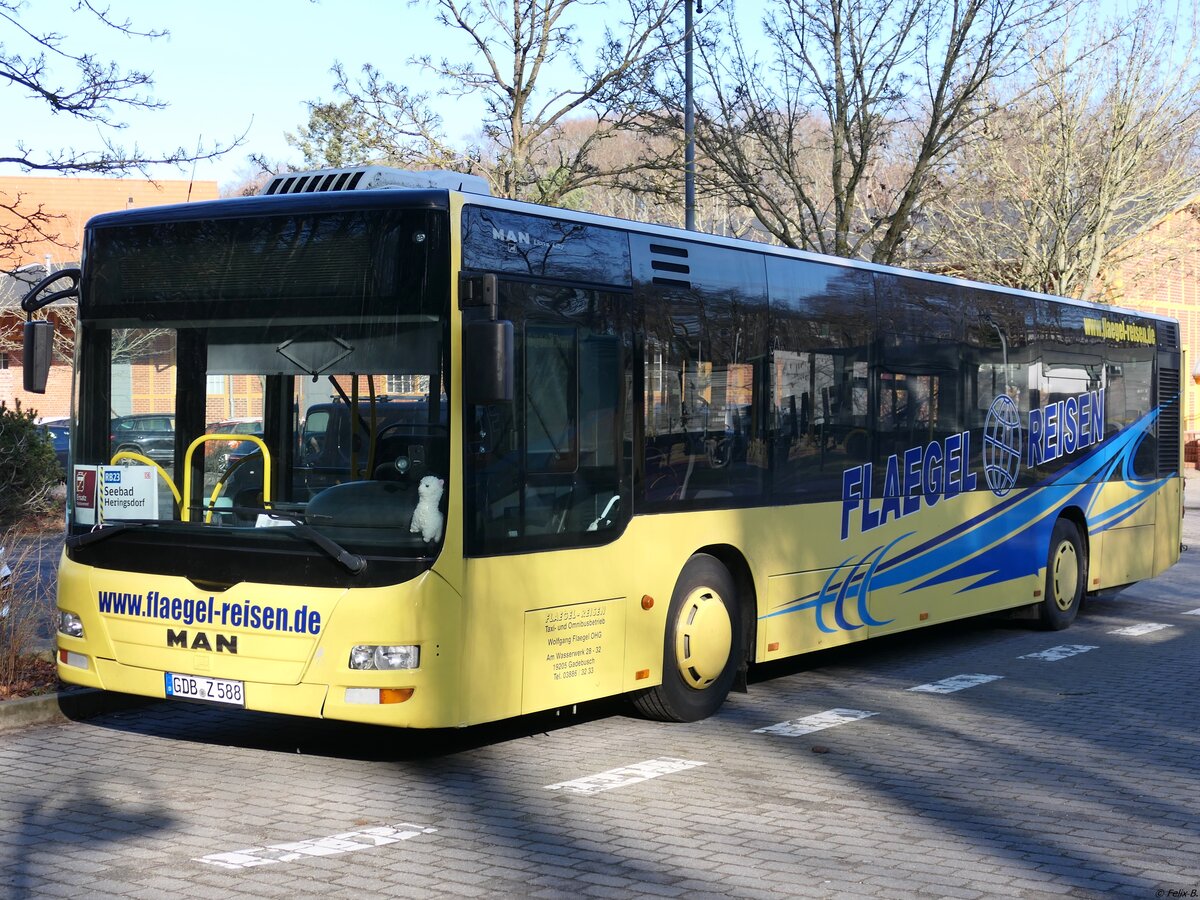 MAN Lion's City von Flaegel Reisen aus Deutschland (ex Transports urbains du Cambresis - CR-223-CA) in Heringsdorf. 