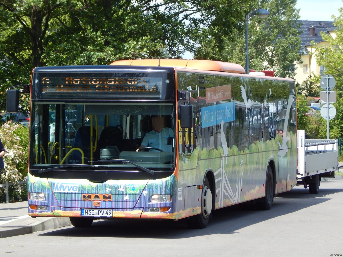 MAN Lion's City mit Fahrradanhnger der MVVG in Waren.