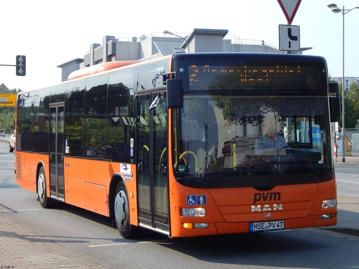 MAN Lion's City der PVM Waren in Waren.
