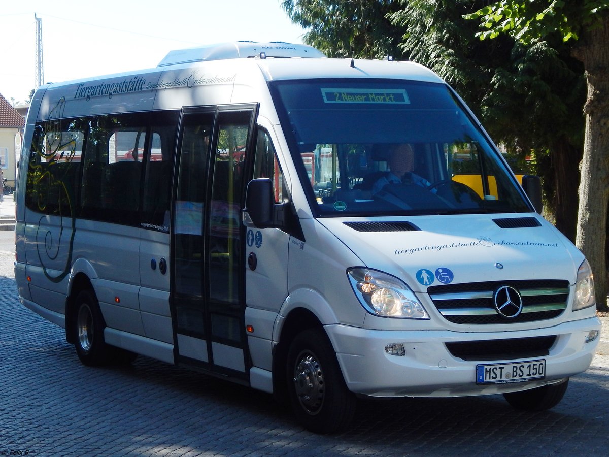 Mercedes Sprinter von Becker-Strelitz Reisen aus Deutschland in Neustrelitz.