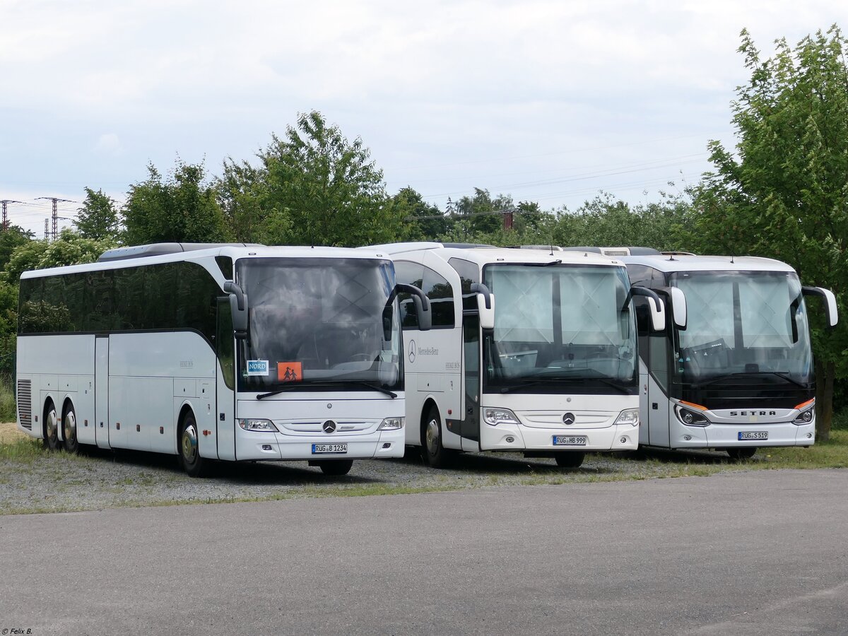 Mercedes Tourismo, Mercedes Travego und Setra 519 HD von Heike Bös aus Deutschland in Stralsund.