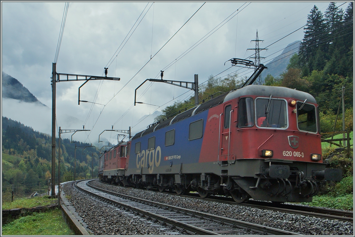  Re 10/10  mit der Spitzenlok 620 065-3 auf der Fahrt nach Norden nähe Pfaffensprung.
10. Okt 2014